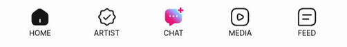 From left to right: Home, Artist's Story posts, Chat (messages and lives), Media (content including anniversary/birthday letters), Feed (for fans to post in)